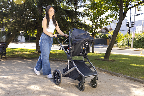 COCHES TRAVEL SYSTEM ROMANZO X1-D NEGRO BRONCE X1-D-GRIS